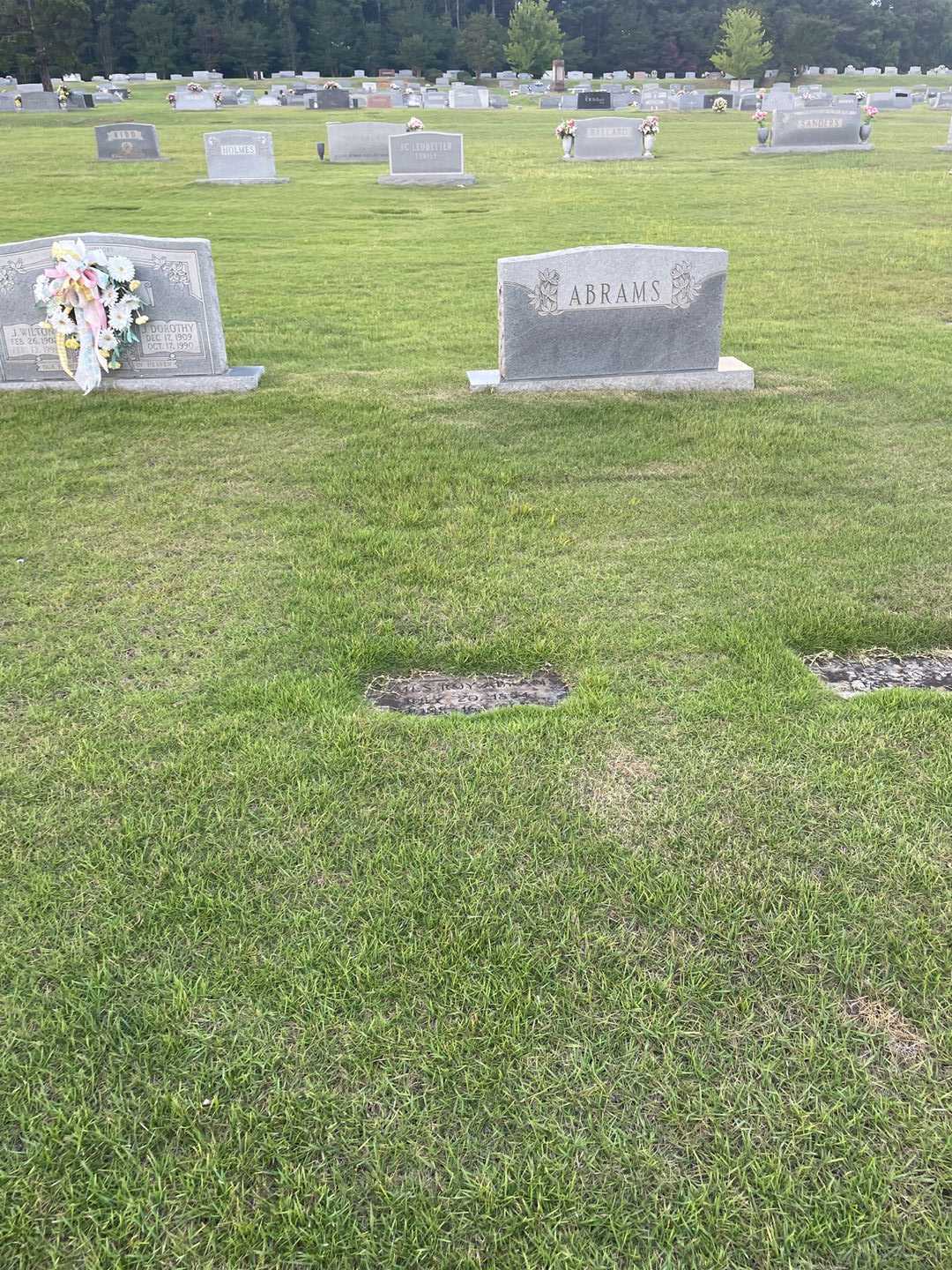 James Roy Abrams's grave. Photo 2