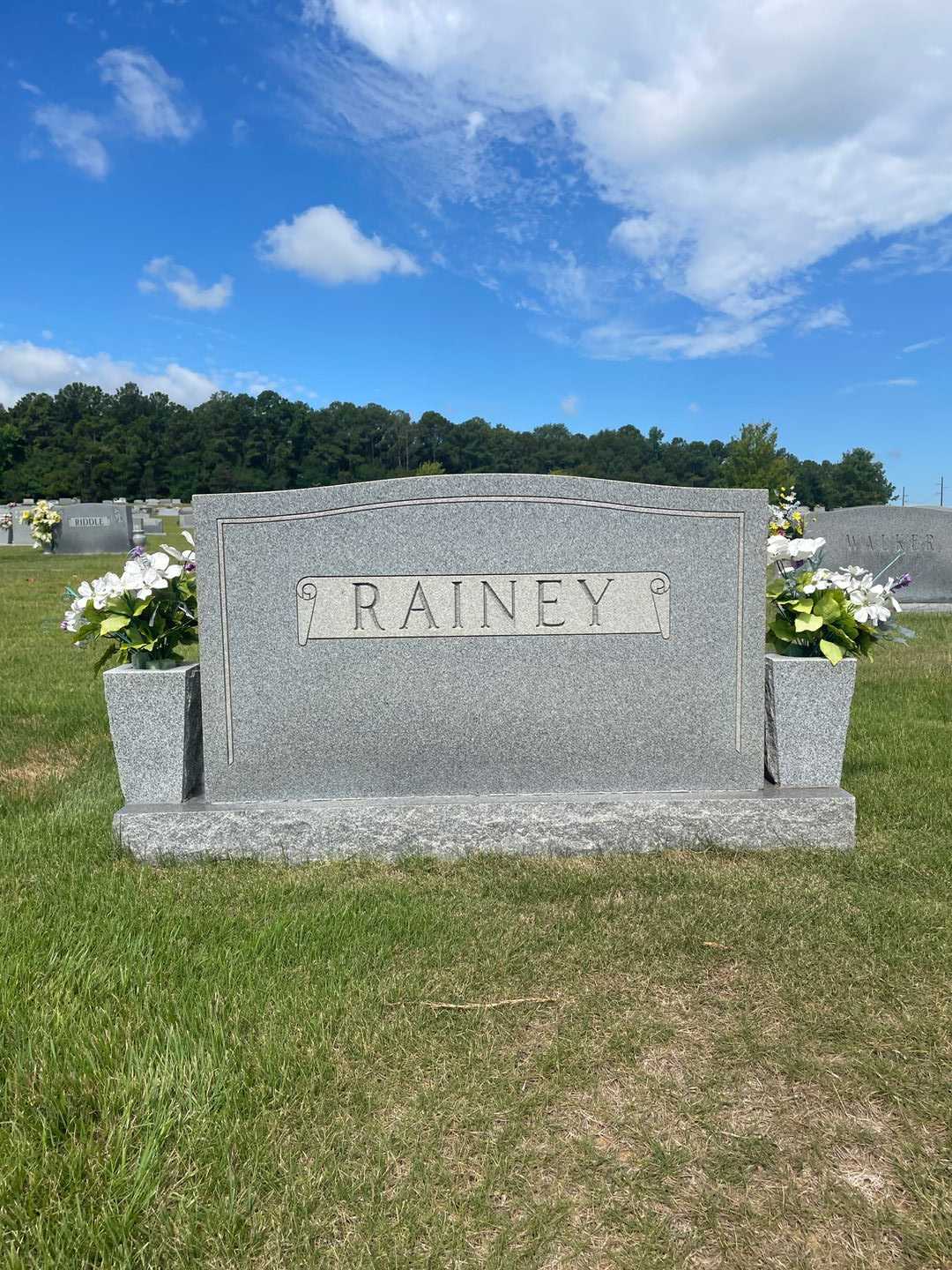 William Nathaniel Rainey's grave. Photo 1