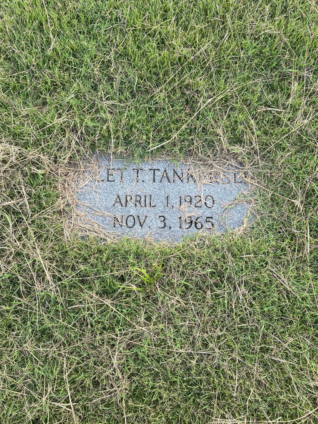 Violet T. Tankersley's grave. Photo 3