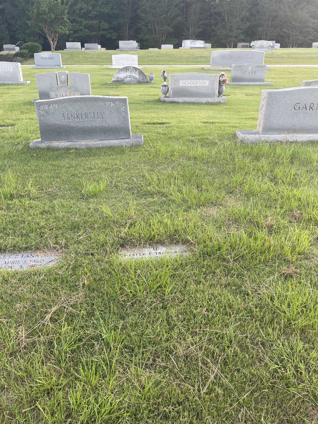 Chester F. Tankersley's grave. Photo 2