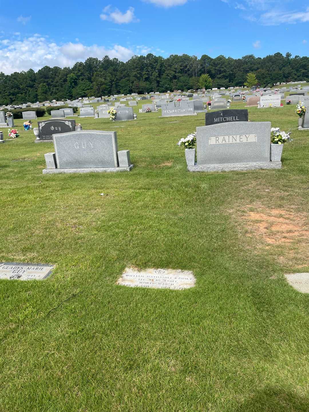 William Nathaniel Rainey's grave. Photo 2