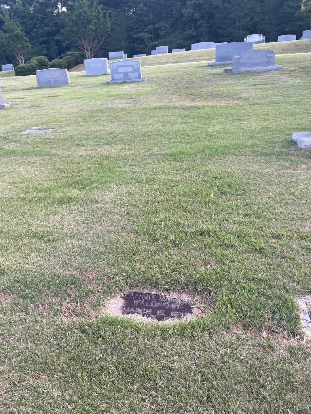 Jeannie B. Waldroup's grave. Photo 1