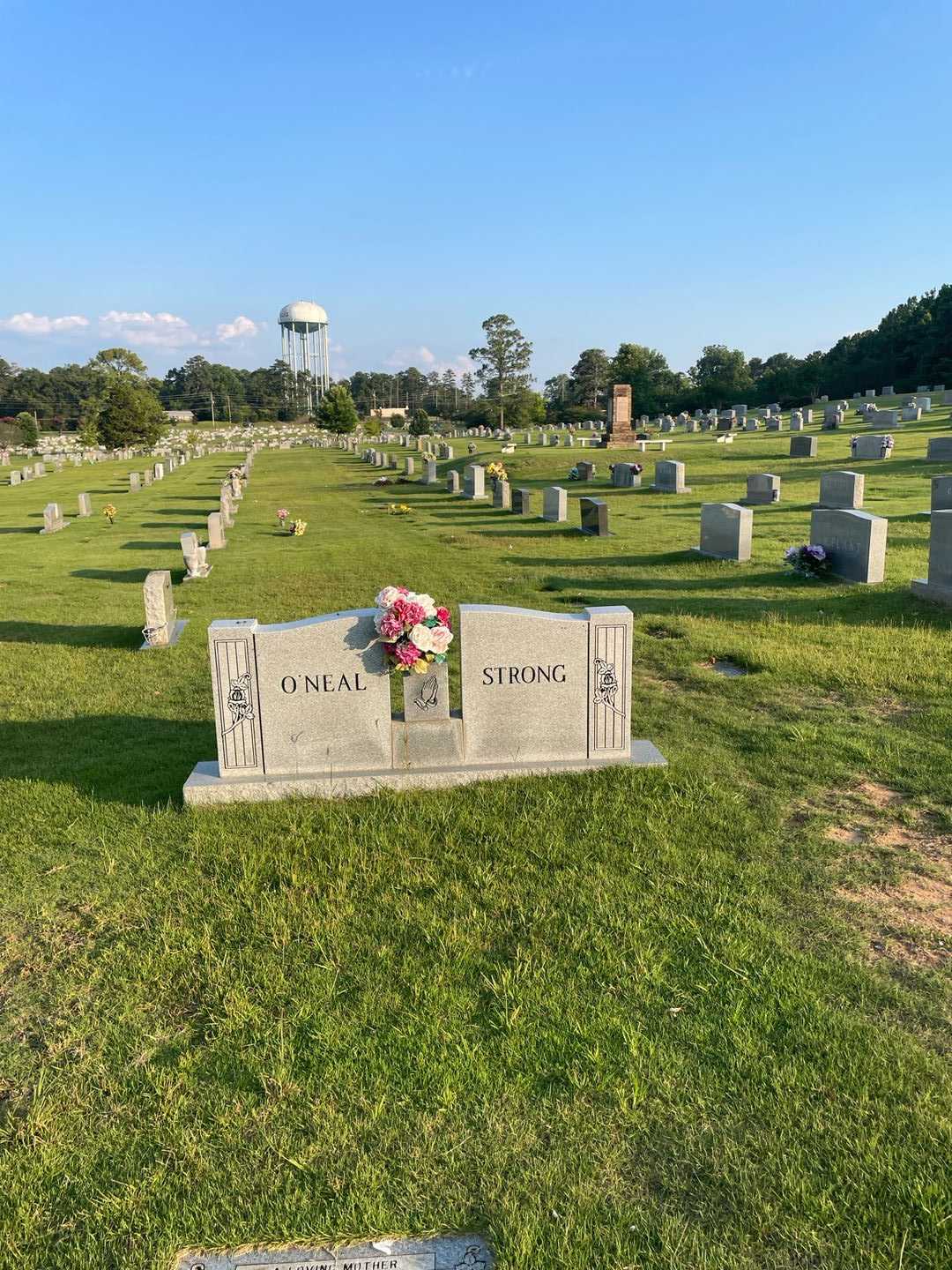 Harold H. O'Neal's grave. Photo 1