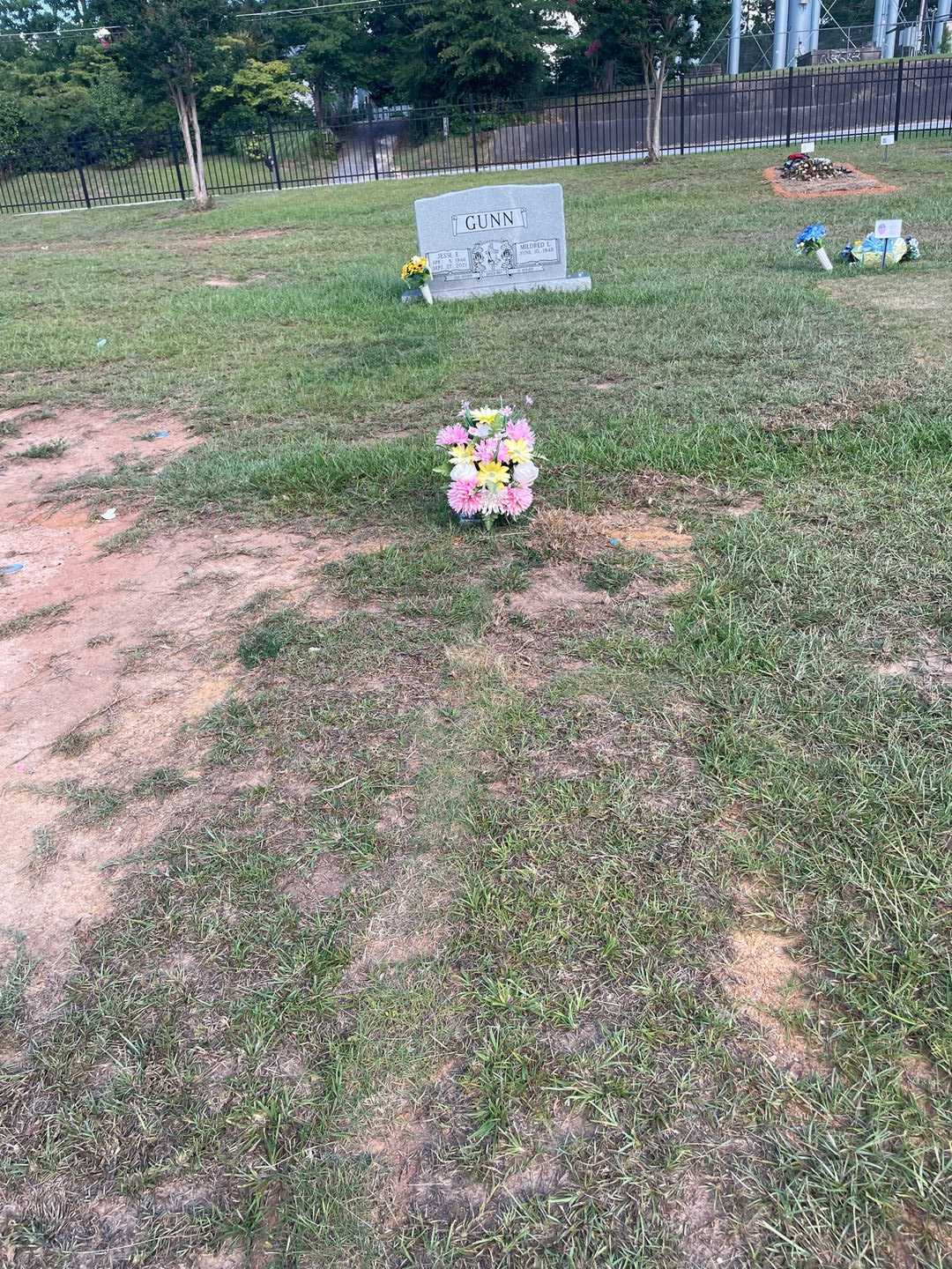 Annette Ingram's grave. Photo 1