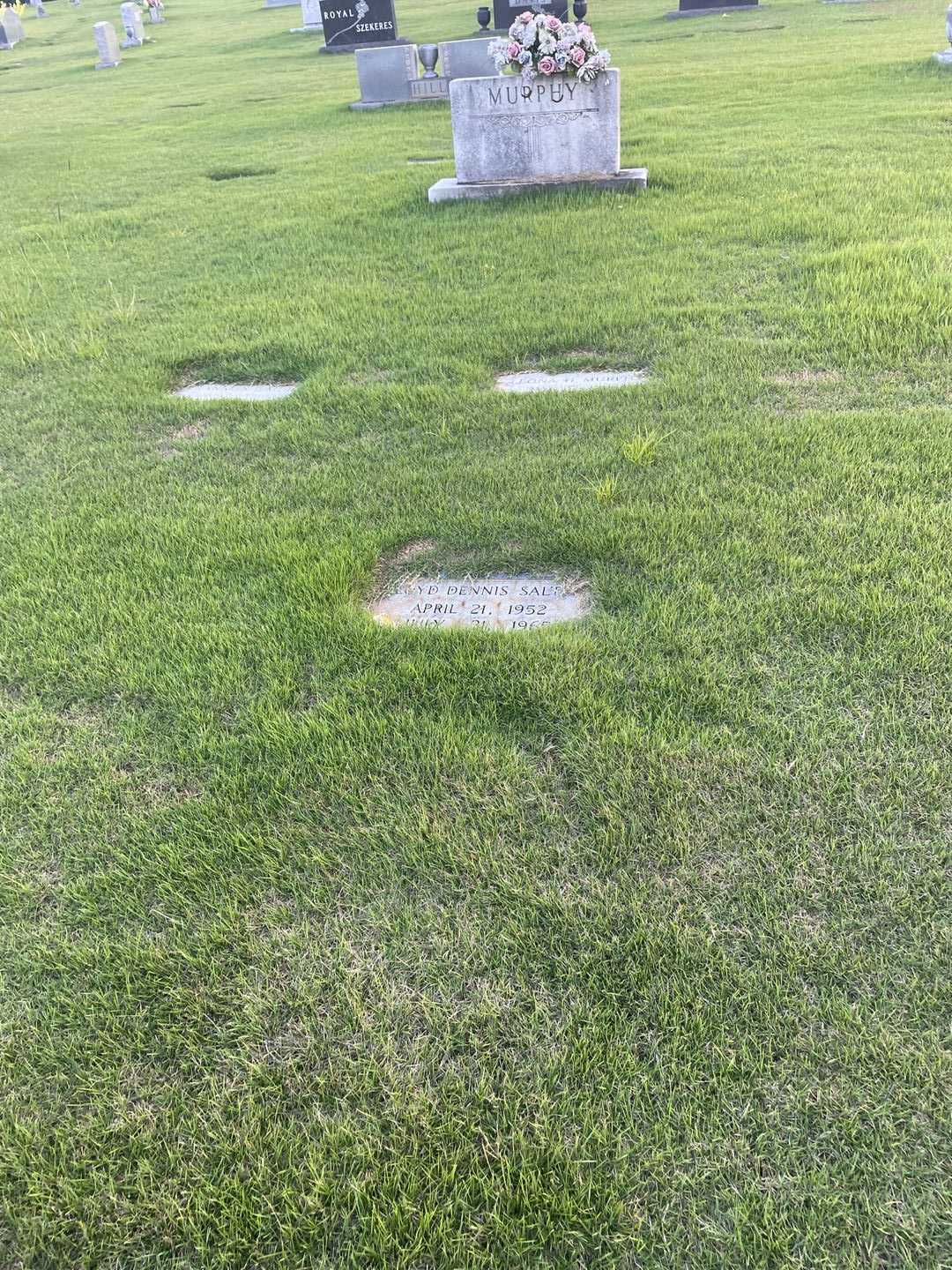 Floyd Dennis Salter's grave. Photo 1