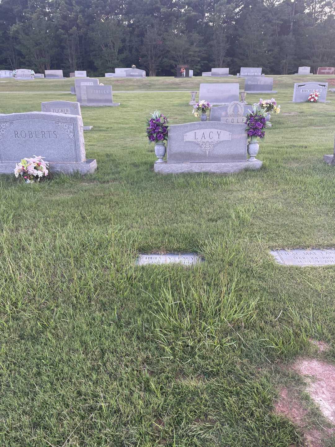 Huey V. Lacy's grave. Photo 2