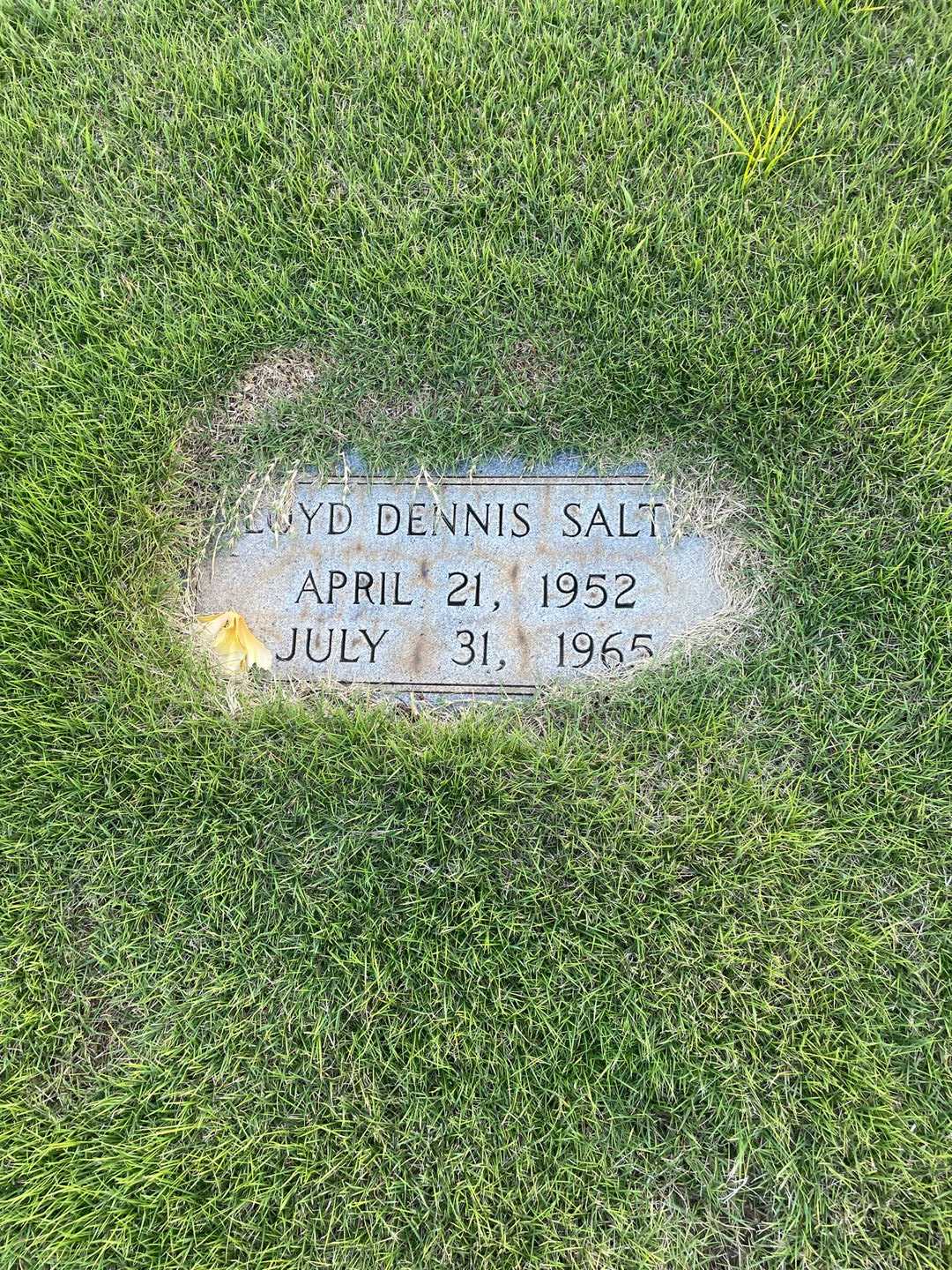 Floyd Dennis Salter's grave. Photo 2