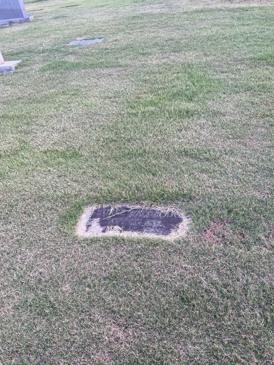 Burse Waldroup's grave. Photo 1