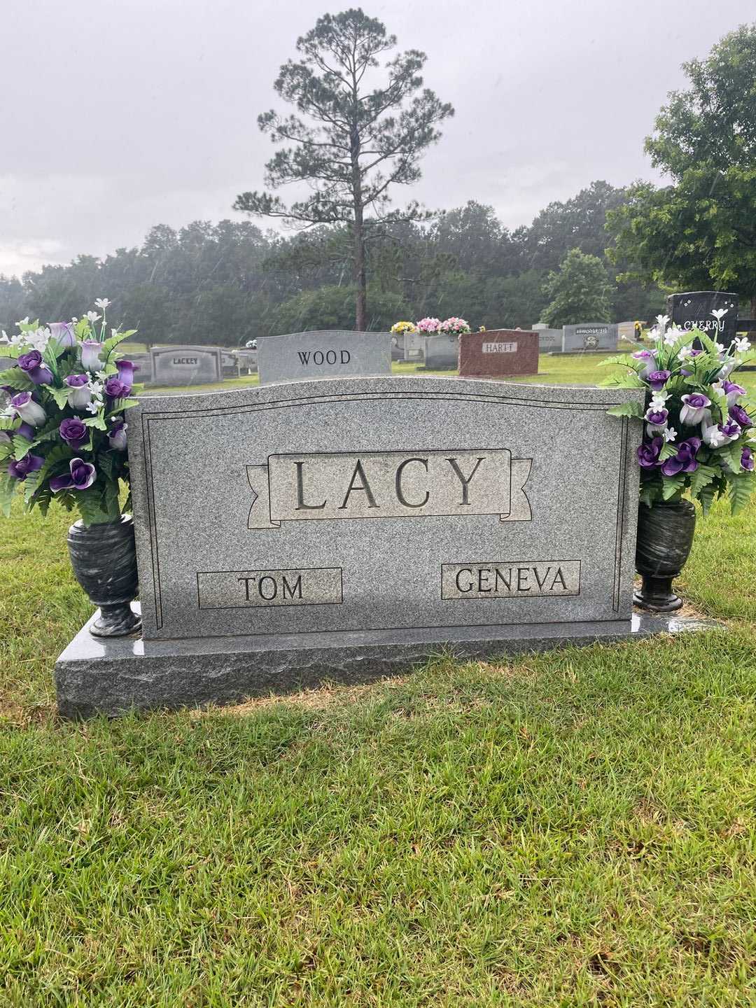 Laura Geneva Lacy's grave. Photo 1