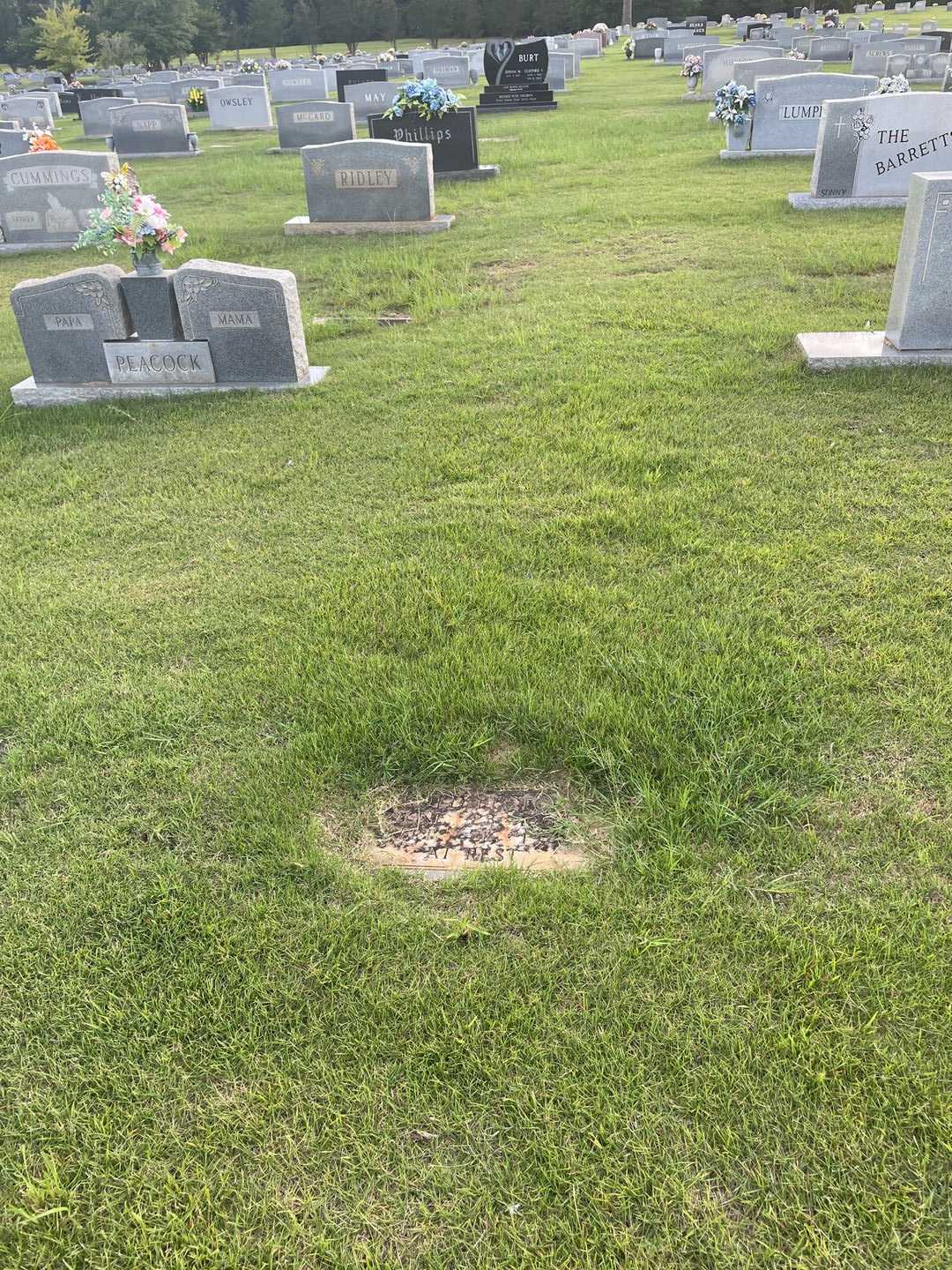 Harold Fletcher Jackson's grave. Photo 2