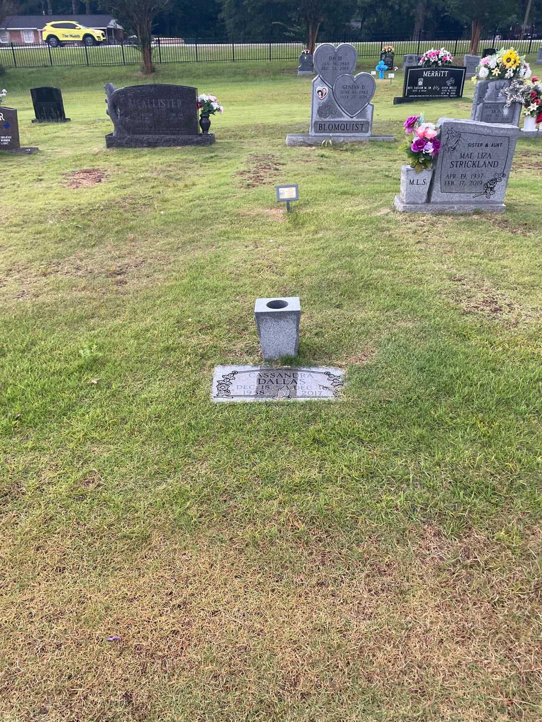 Cassandra Jean Ingram Dallas's grave. Photo 2